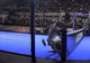 VIDEO. Galan and Chingotto crash against each other when facing Tapia and Coello in Asuncion galan and chingott collide